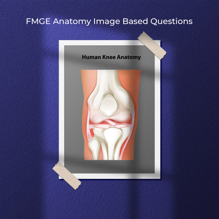 FMGE Anatomy Image Based Questions