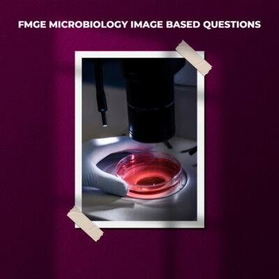 FMGE Microbiology Image Based Questions