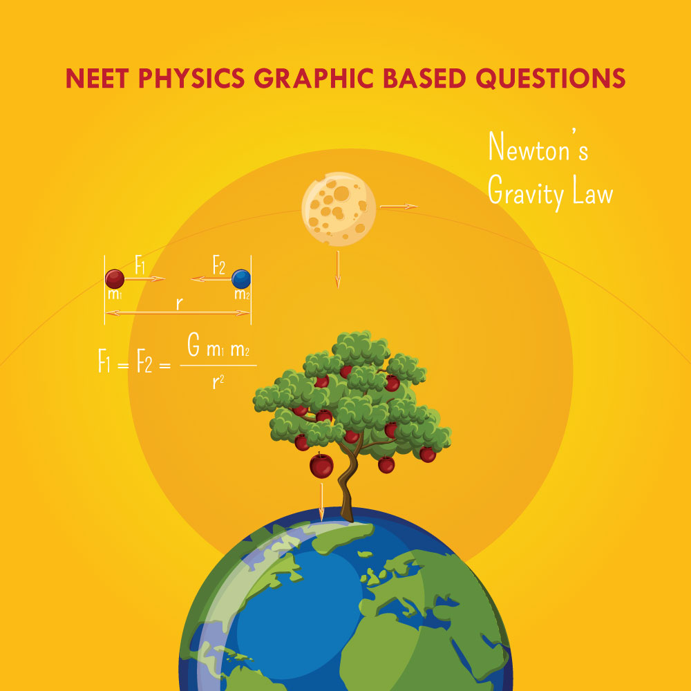 NEET Physics Graphic Based Questions