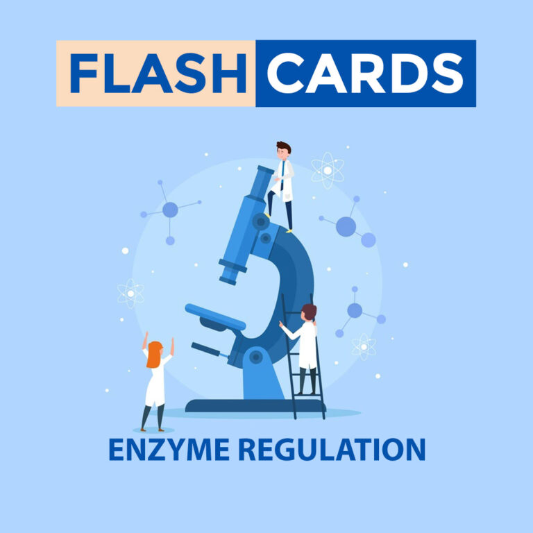 Enzyme Regulation – Proteins And Enzymes – Biochemistry
