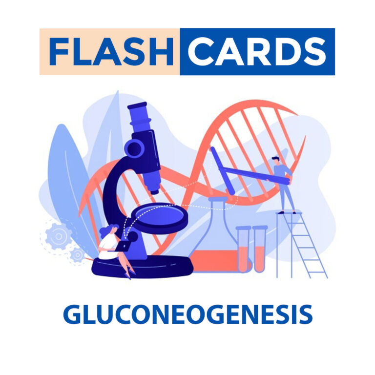 Gluconeogenesis – Carbohydrates – Biochemistry