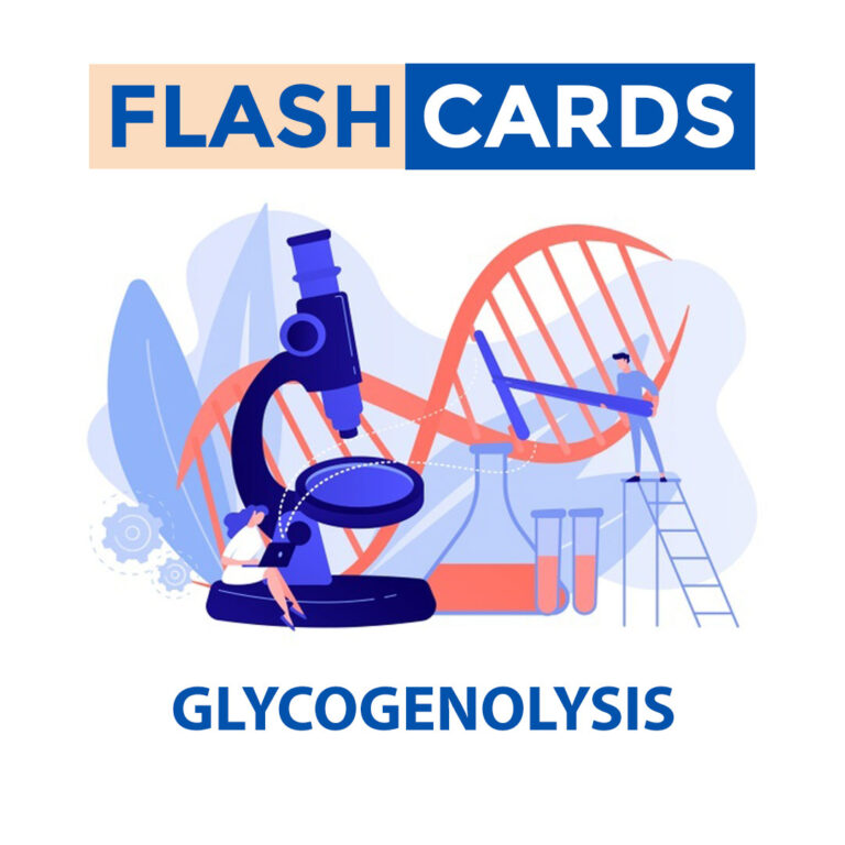 Glycogenolysis – Carbohydrates – Biochemistry