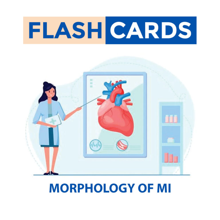 Morphology of Mi  – Myocardial Infarction – Cardiovascular System