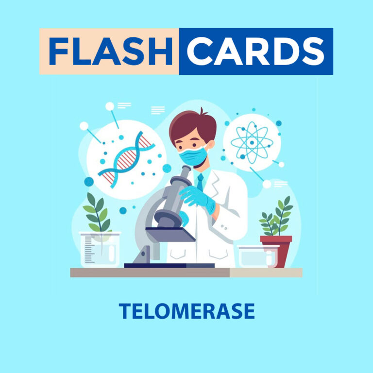 Telomerase – Informational Macromolecules – Biochemistry
