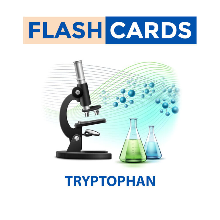 Tryptophan – Aminoacids – Biochemistry