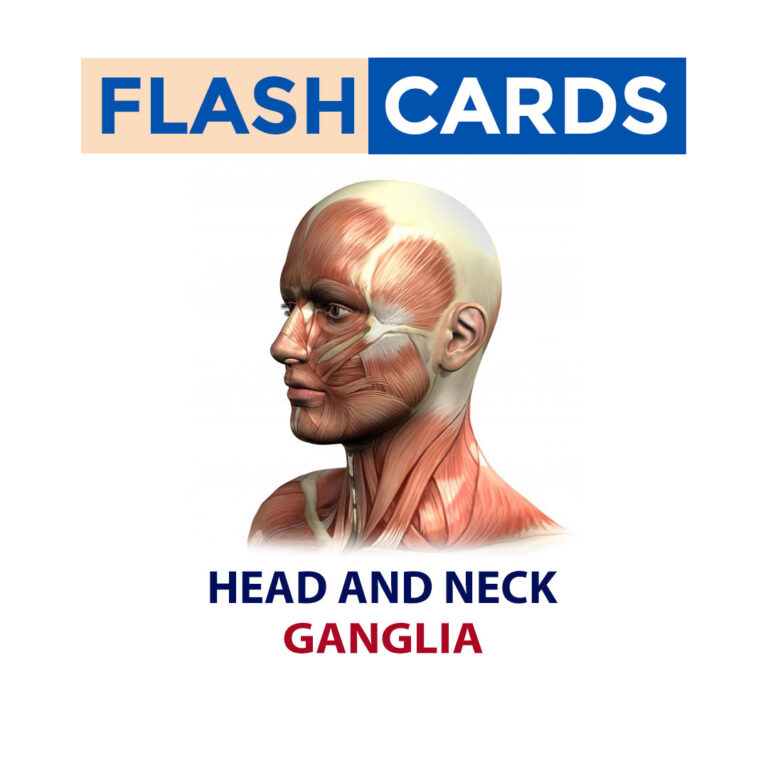 GANGLIA – HEAD AND NECK – ANATOMY