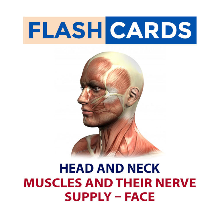 MUSCLES AND THEIR NERVE SUPPLY – FACE – HEAD AND NECK – ANATOMY