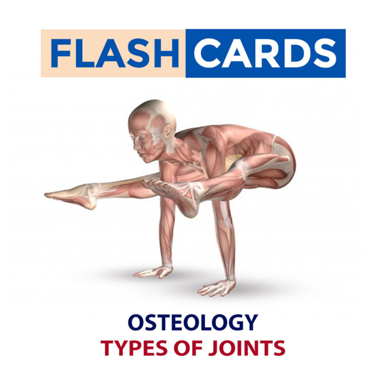 TYPES OF JOINTS – OSTEOLOGY – ANATOMY